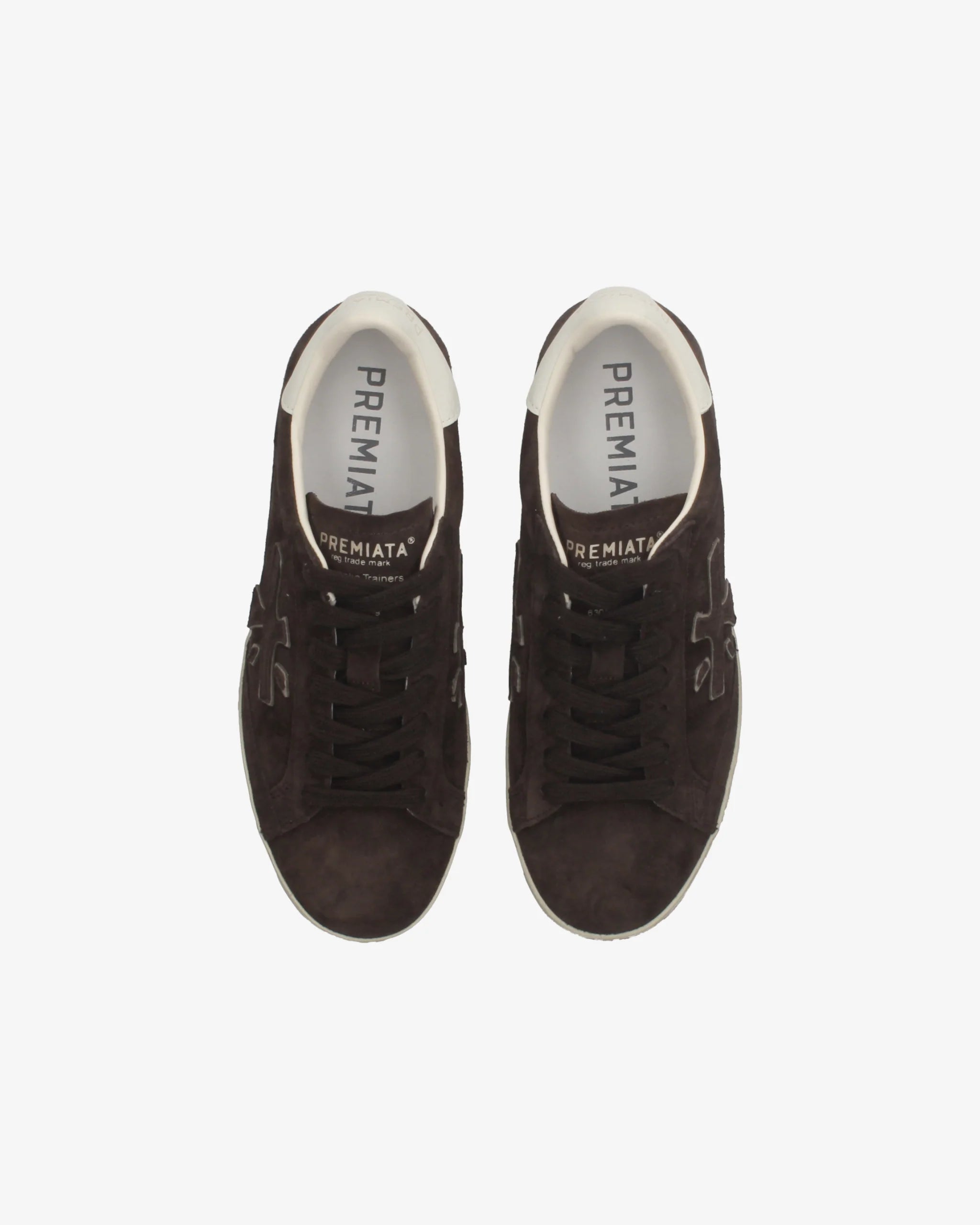 STEVEND 7897  DONNA